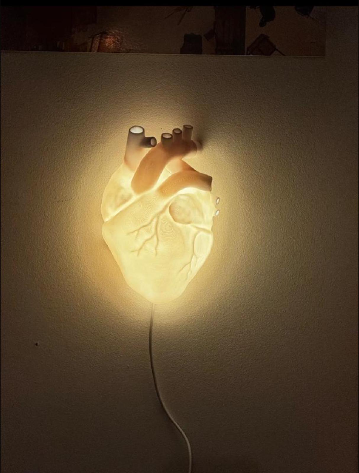 Cuore anatomico lampada